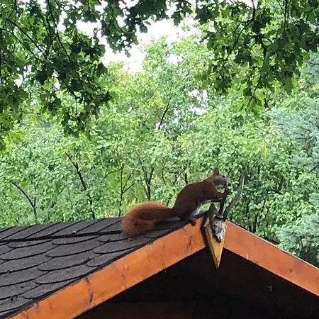 Bungalowdorf Lägenhet *