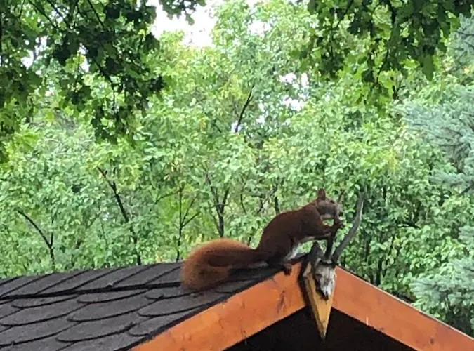 Bungalowdorf Lejlighed *