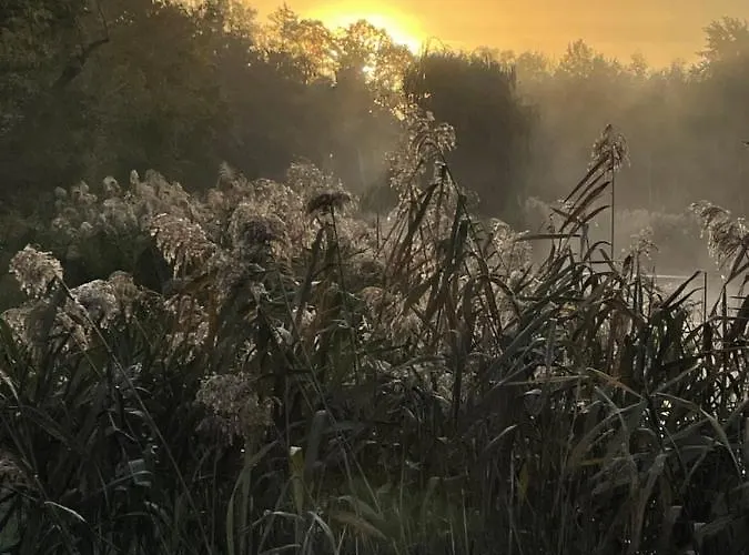 Bungalowdorf Lejlighed *